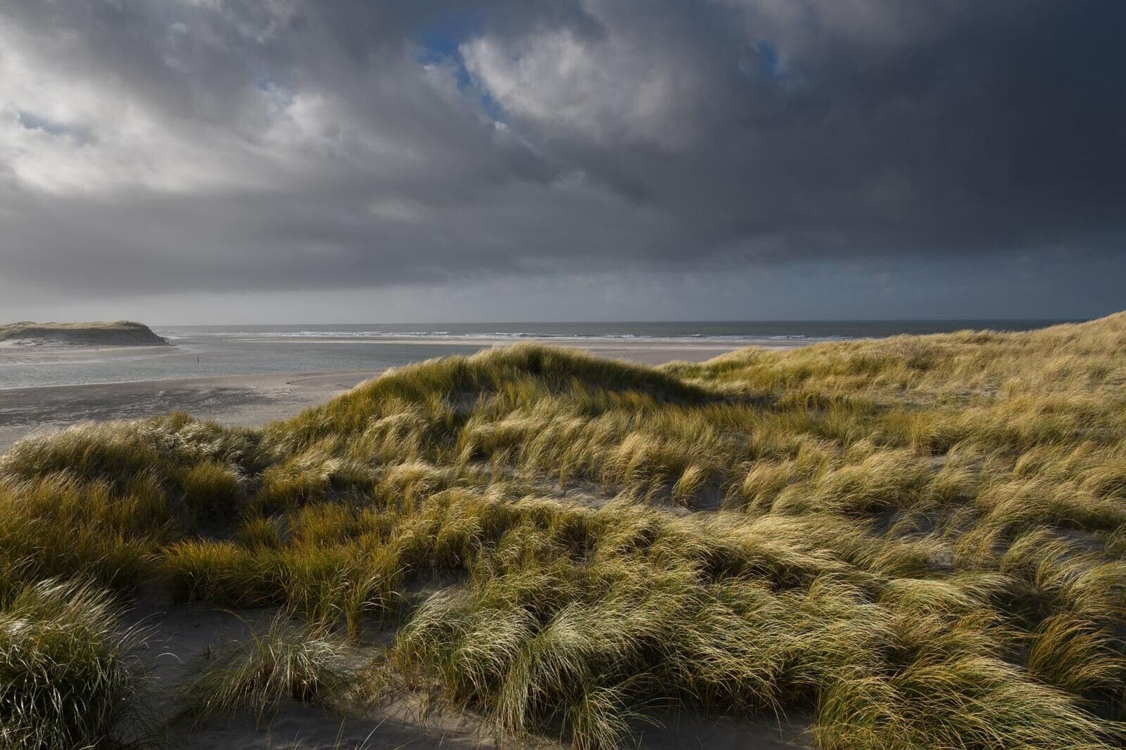 Duinen bij Den Burg, Texel