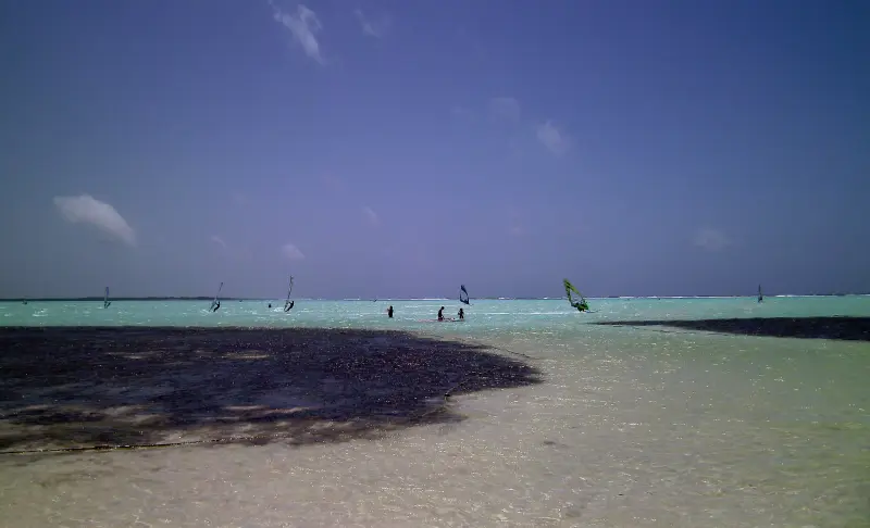 Windsurfers in Lac Bay, Bonaire