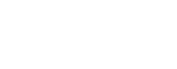 Logo Duotone