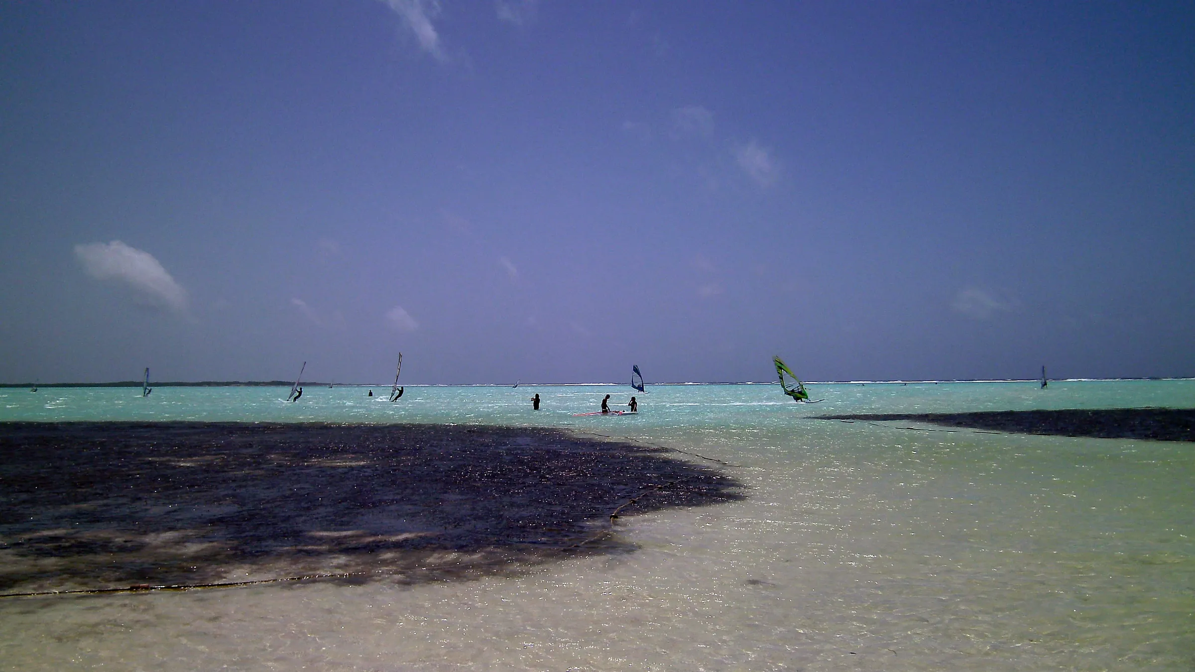 Windsurfers in Lac Bay, met zeegras in het ondiepe water op de voorgrond