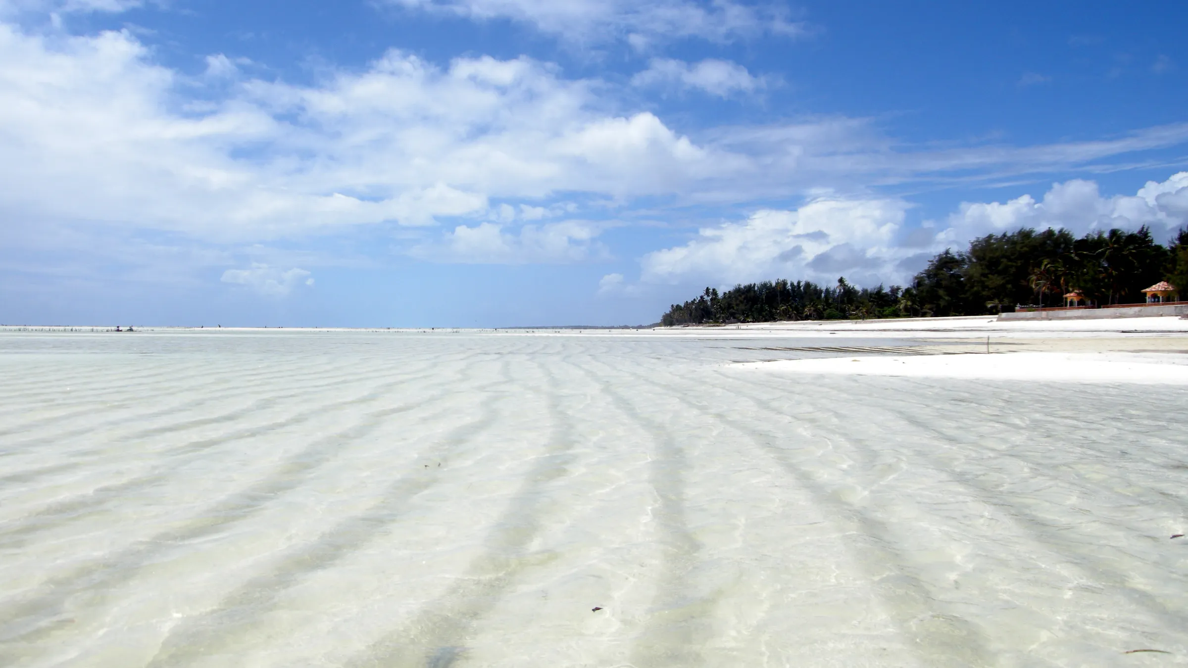 Ondiepe lagune met ribbels in het zand bij laag water in Paje